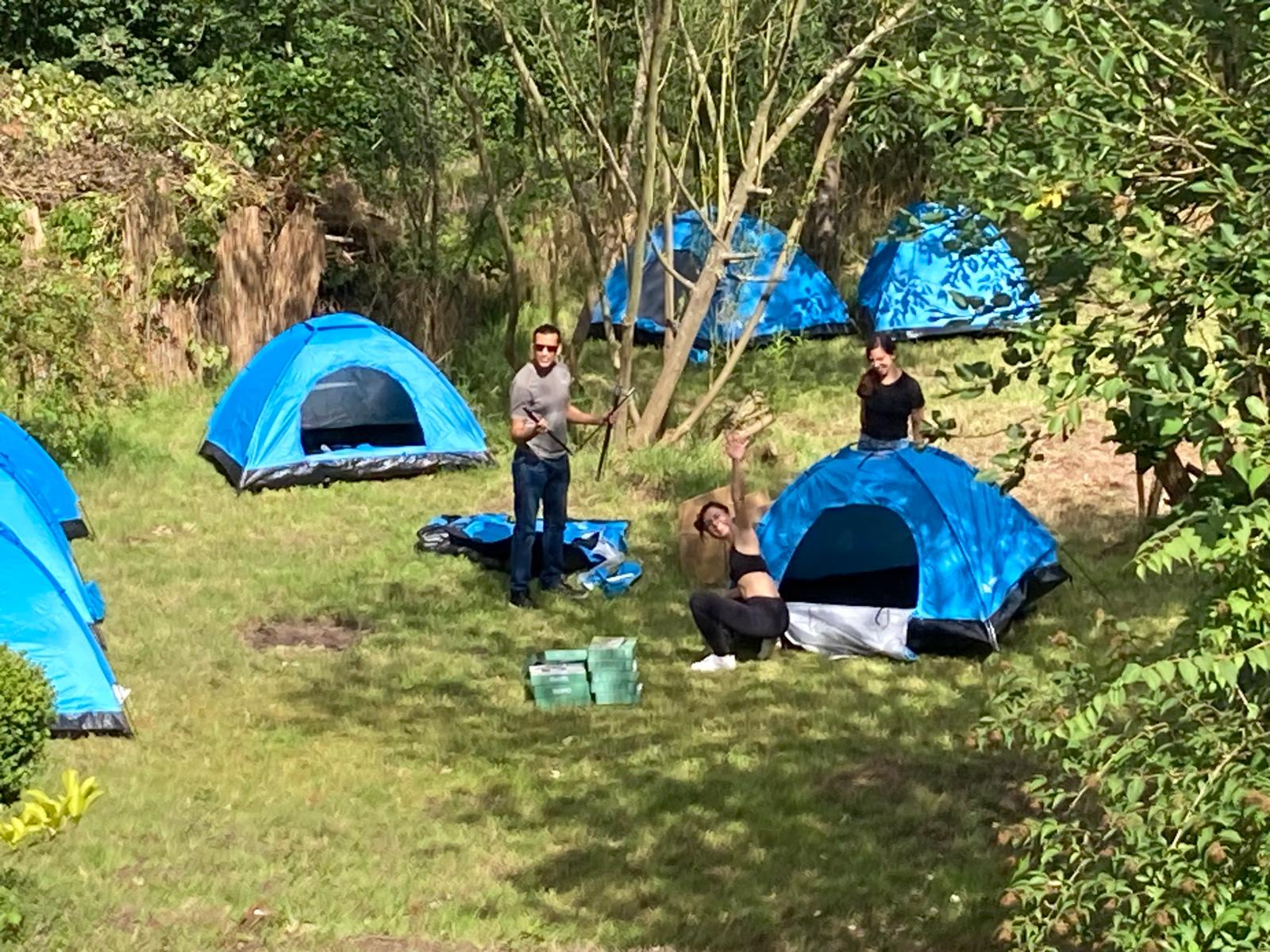 Cozy camping area among the trees