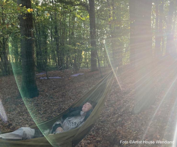 Peaceful moments in nature